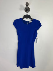 Babaton Blue Mini Dress