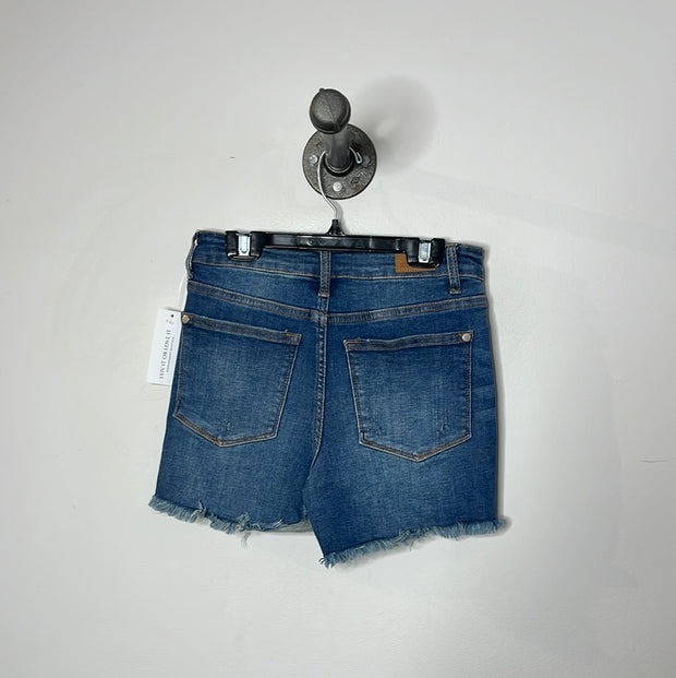 Judy Blue Denim Ripped Shorts