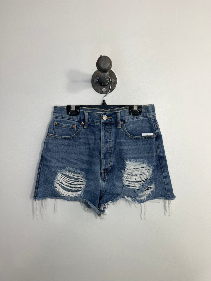 Pacsun Denim Shorts