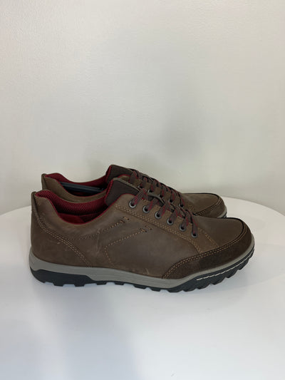 Ecco Brown Sneakers