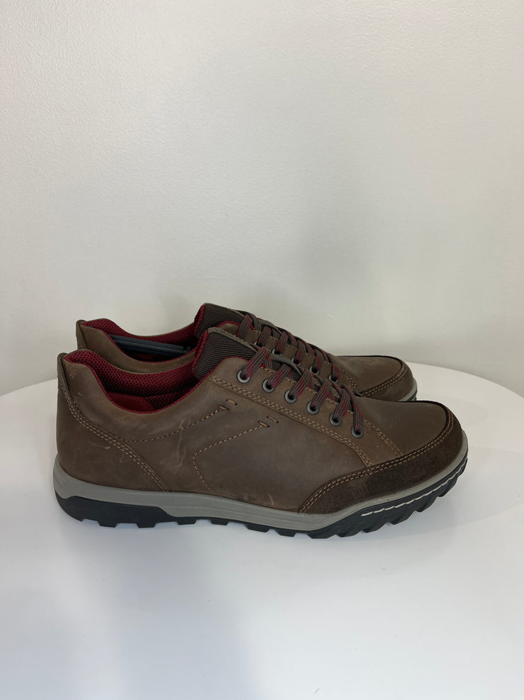 Ecco Brown Sneakers
