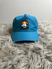 Coal Blue Baseball Hat