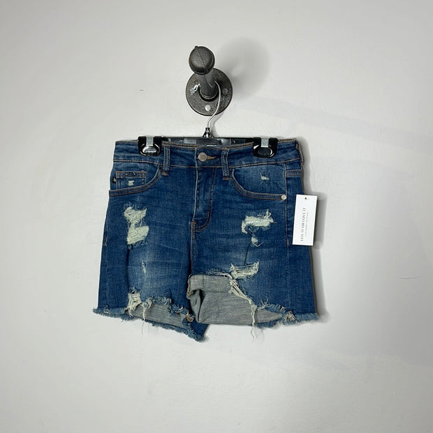 Judy Blue Denim Ripped Shorts