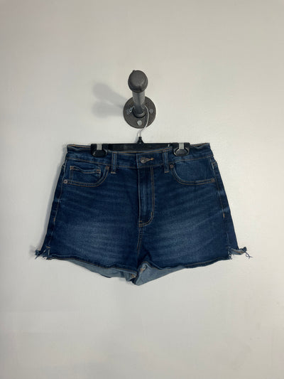 American Eagle Denim Shorts