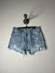 Everlane Denim Shorts